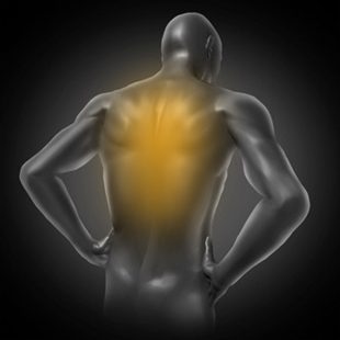 La localisation de la douleur dans le muscle du dos